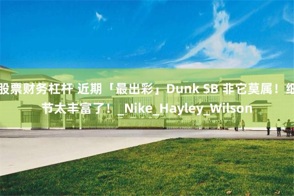 股票财务杠杆 近期「最出彩」Dunk SB 非它莫属！细节太丰富了！_Nike_Hayley_Wilson