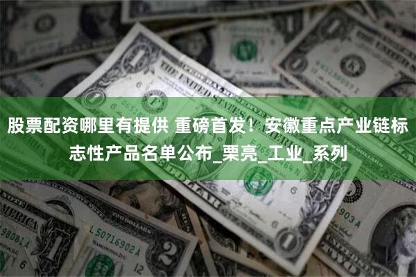 股票配资哪里有提供 重磅首发！安徽重点产业链标志性产品名单公布_栗亮_工业_系列