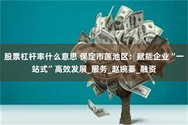 股票杠杆率什么意思 保定市莲池区：赋能企业“一站式”高效发展_服务_赵婉蓁_融资