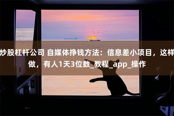 炒股杠杆公司 自媒体挣钱方法：信息差小项目，这样做，有人1天3位数_教程_app_操作