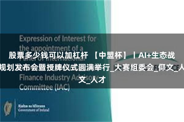 股票多少钱可以加杠杆 【中盟杯】丨AI+生态战略规划发布会暨授牌仪式圆满举行_大赛组委会_仰文_人才
