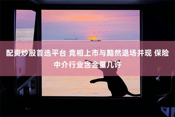 配资炒股首选平台 竞相上市与黯然退场并现 保险中介行业含金量几许