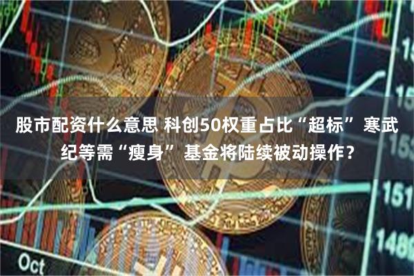 股市配资什么意思 科创50权重占比“超标” 寒武纪等需“瘦身” 基金将陆续被动操作？