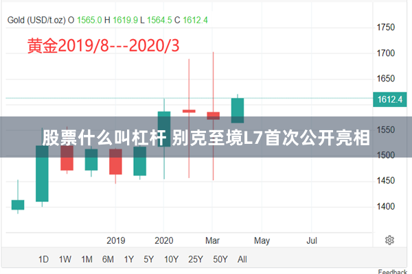 股票什么叫杠杆 别克至境L7首次公开亮相