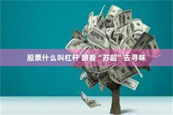 股票什么叫杠杆 跟着“苏超”去寻味