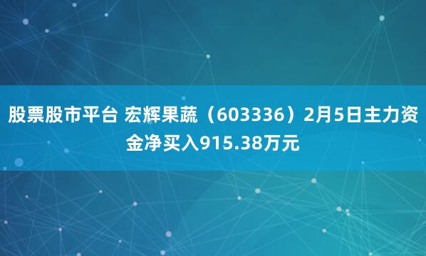 股票股市平台 宏辉果蔬（603336）2月5日主力资金净买入915.38万元
