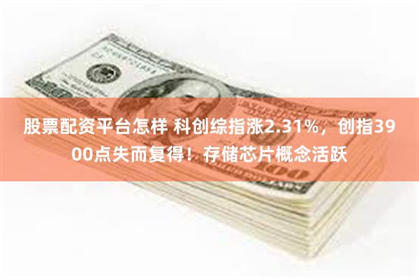 股票配资平台怎样 科创综指涨2.31%，创指3900点失而复得！存储芯片概念活跃