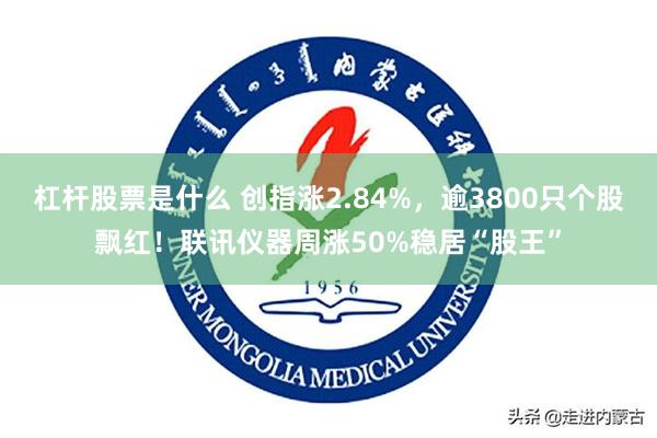 杠杆股票是什么 创指涨2.84%，逾3800只个股飘红！联讯仪器周涨50%稳居“股王”