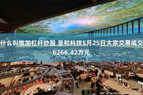 什么叫做加杠杆炒股 呈和科技5月25日大宗交易成交6266.42万元