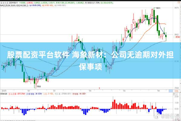 股票配资平台软件 海象新材：公司无逾期对外担保事项