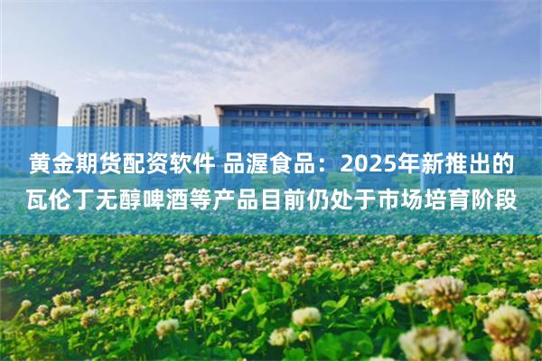 黄金期货配资软件 品渥食品：2025年新推出的瓦伦丁无醇啤酒等产品目前仍处于市场培育阶段