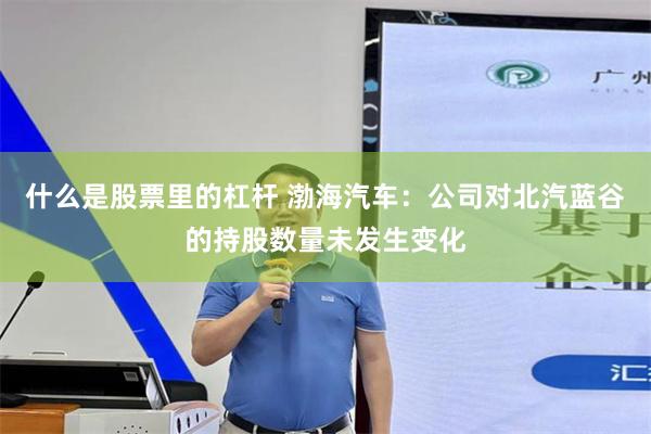 什么是股票里的杠杆 渤海汽车：公司对北汽蓝谷的持股数量未发生变化