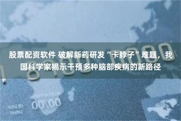 股票配资软件 破解新药研发“卡脖子”难题,我国科学家揭示干预多种脑部疾病的新路径