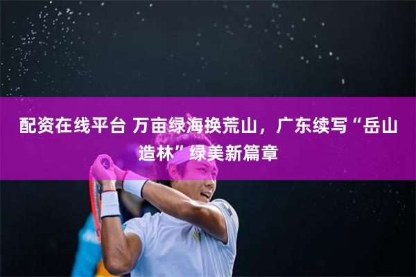 配资在线平台 万亩绿海换荒山，广东续写“岳山造林”绿美新篇章