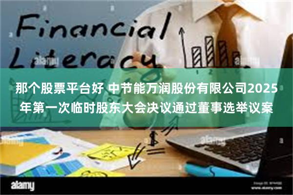 那个股票平台好 中节能万润股份有限公司2025年第一次临时股东大会决议通过董事选举议案
