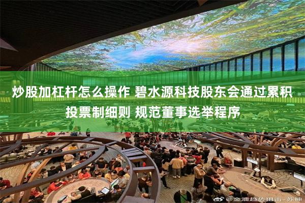 炒股加杠杆怎么操作 碧水源科技股东会通过累积投票制细则 规范董事选举程序