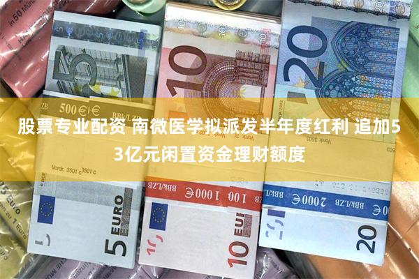 股票专业配资 南微医学拟派发半年度红利 追加53亿元闲置资金理财额度