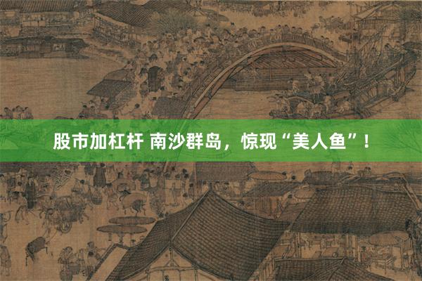 股市加杠杆 南沙群岛，惊现“美人鱼”！