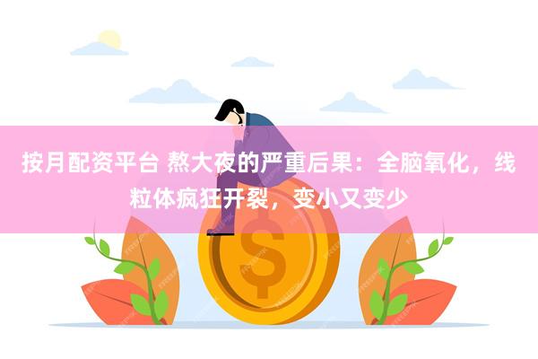 按月配资平台 熬大夜的严重后果：全脑氧化，线粒体疯狂开裂，变小又变少