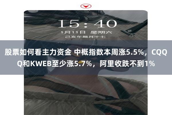 股票如何看主力资金 中概指数本周涨5.5%，CQQQ和KWEB至少涨5.7%，阿里收跌不到1%