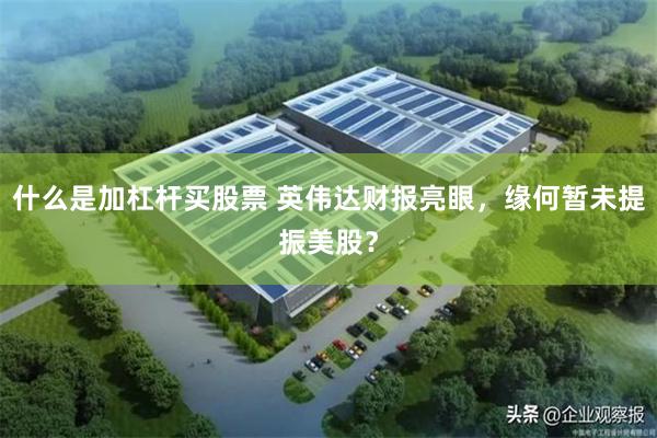 什么是加杠杆买股票 英伟达财报亮眼，缘何暂未提振美股？