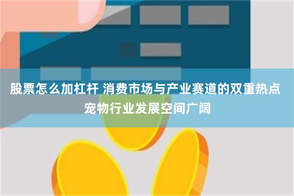 股票怎么加杠杆 消费市场与产业赛道的双重热点 宠物行业发展空间广阔