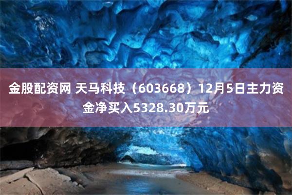 金股配资网 天马科技（603668）12月5日主力资金净买入5328.30万元