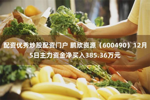 配资优秀炒股配资门户 鹏欣资源（600490）12月5日主力资金净买入385.36万元