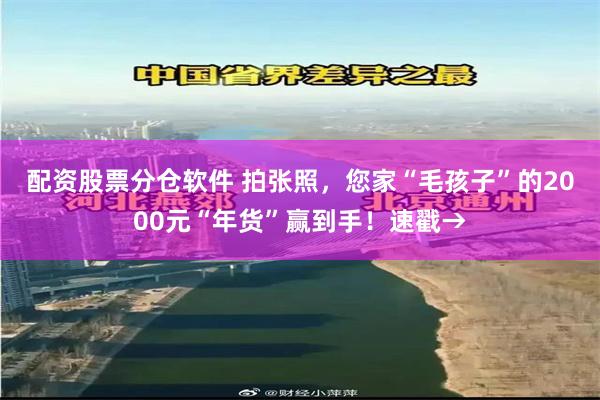 配资股票分仓软件 拍张照，您家“毛孩子”的2000元“年货”赢到手！速戳→