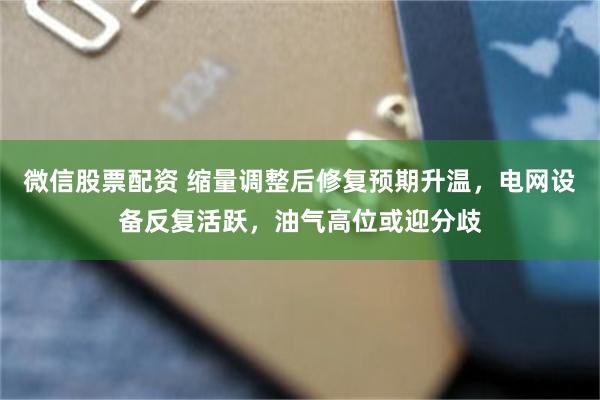微信股票配资 缩量调整后修复预期升温，电网设备反复活跃，油气高位或迎分歧