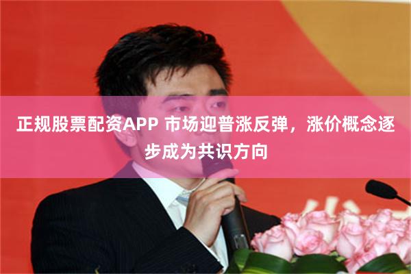 正规股票配资APP 市场迎普涨反弹，涨价概念逐步成为共识方向