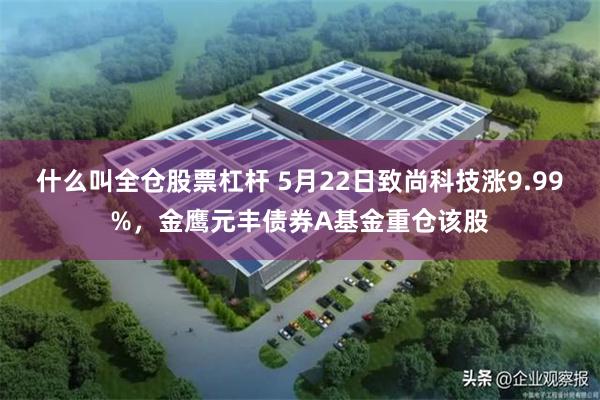 什么叫全仓股票杠杆 5月22日致尚科技涨9.99%，金鹰元丰债券A基金重仓该股