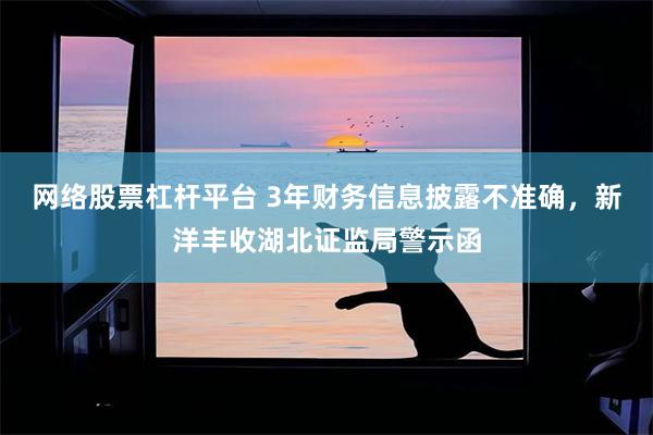 网络股票杠杆平台 3年财务信息披露不准确，新洋丰收湖北证监局警示函