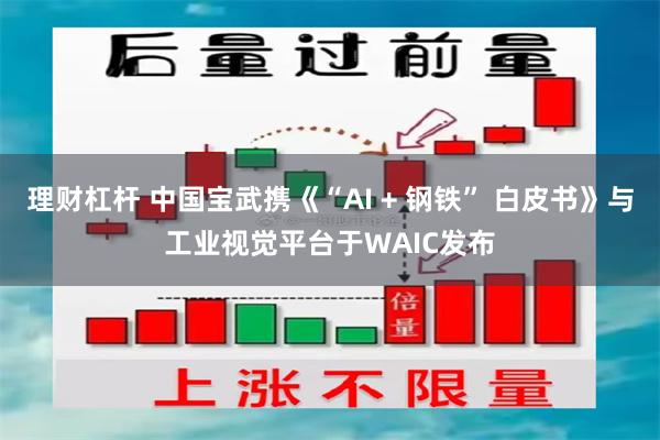 理财杠杆 中国宝武携《“AI + 钢铁” 白皮书》与工业视觉平台于WAIC发布