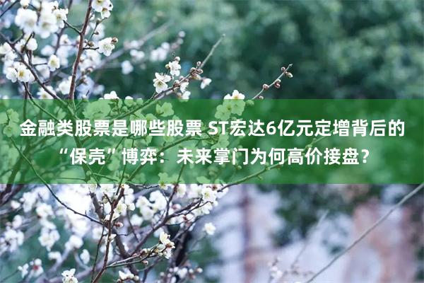 金融类股票是哪些股票 ST宏达6亿元定增背后的“保壳”博弈：未来掌门为何高价接盘？