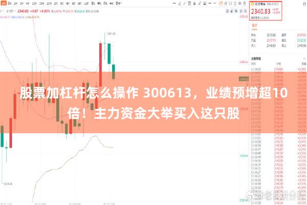 股票加杠杆怎么操作 300613，业绩预增超10倍！主力资金大举买入这只股