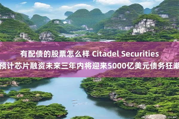 有配债的股票怎么样 Citadel Securities预计芯片融资未来三年内将迎来5000亿美元债务狂潮