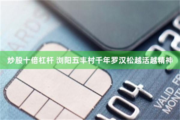 炒股十倍杠杆 浏阳五丰村千年罗汉松越活越精神