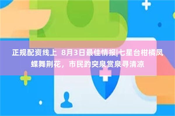 正规配资线上  8月3日最佳情报|七星台柑橘凤蝶舞荆花，市民趵突泉赏泉寻清凉