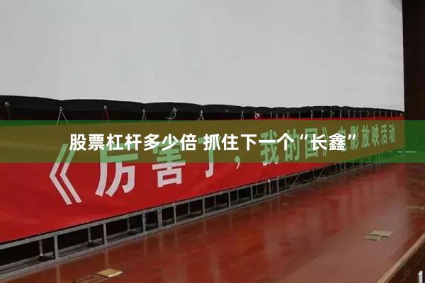股票杠杆多少倍 抓住下一个“长鑫”