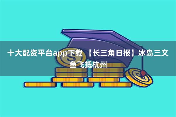 十大配资平台app下载 【长三角日报】冰岛三文鱼飞抵杭州