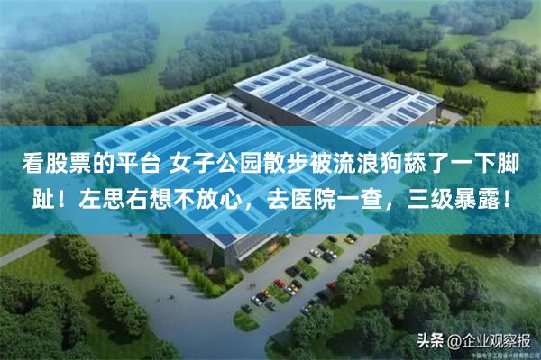 看股票的平台 女子公园散步被流浪狗舔了一下脚趾！左思右想不放心，去医院一查，三级暴露！