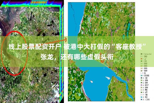 线上股票配资开户 被港中大打假的“客座教授”张龙，还有哪些虚假头衔