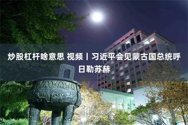 炒股杠杆啥意思 视频丨习近平会见蒙古国总统呼日勒苏赫