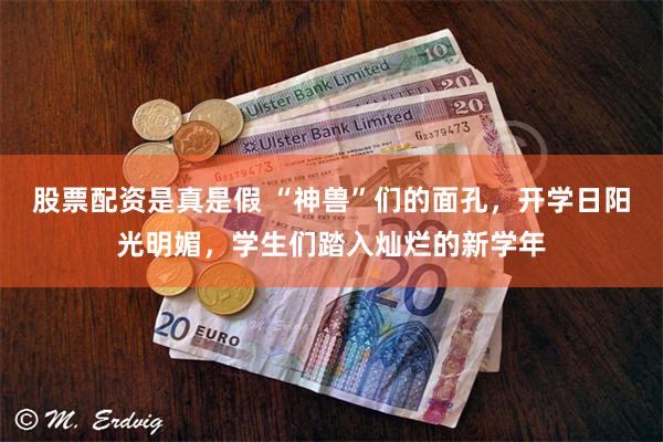股票配资是真是假 “神兽”们的面孔，开学日阳光明媚，学生们踏入灿烂的新学年