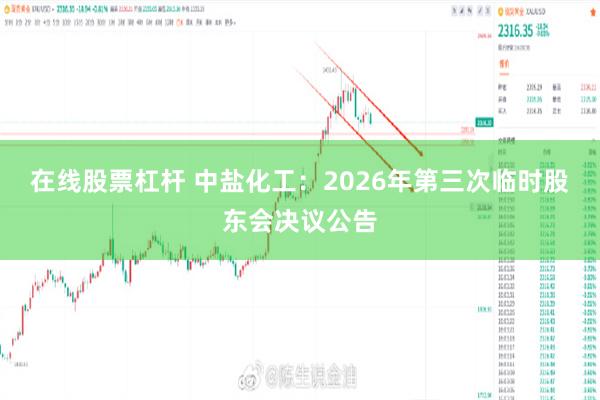 在线股票杠杆 中盐化工：2026年第三次临时股东会决议公告