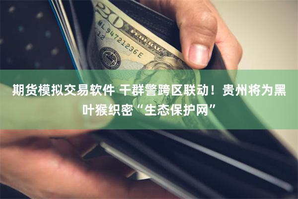 期货模拟交易软件 干群警跨区联动！贵州将为黑叶猴织密“生态保护网”