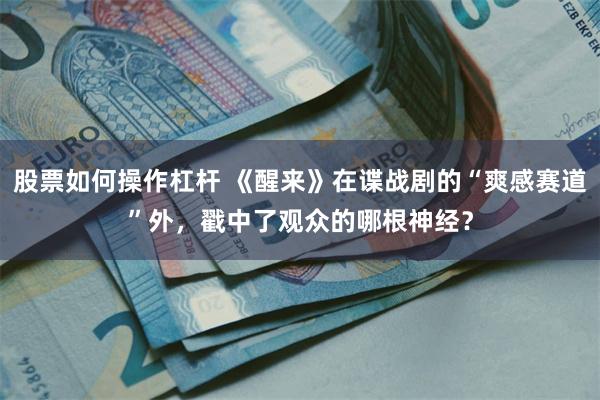 股票如何操作杠杆 《醒来》在谍战剧的“爽感赛道”外，戳中了观众的哪根神经？