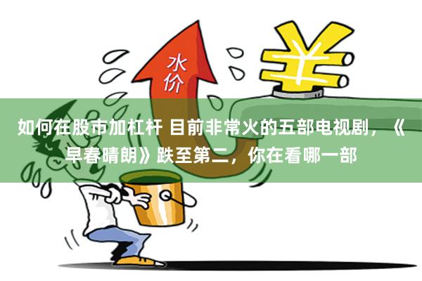 如何在股市加杠杆 目前非常火的五部电视剧，《早春晴朗》跌至第二，你在看哪一部