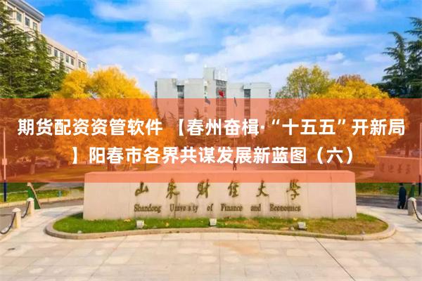 期货配资资管软件 【春州奋楫·“十五五”开新局】阳春市各界共谋发展新蓝图（六）